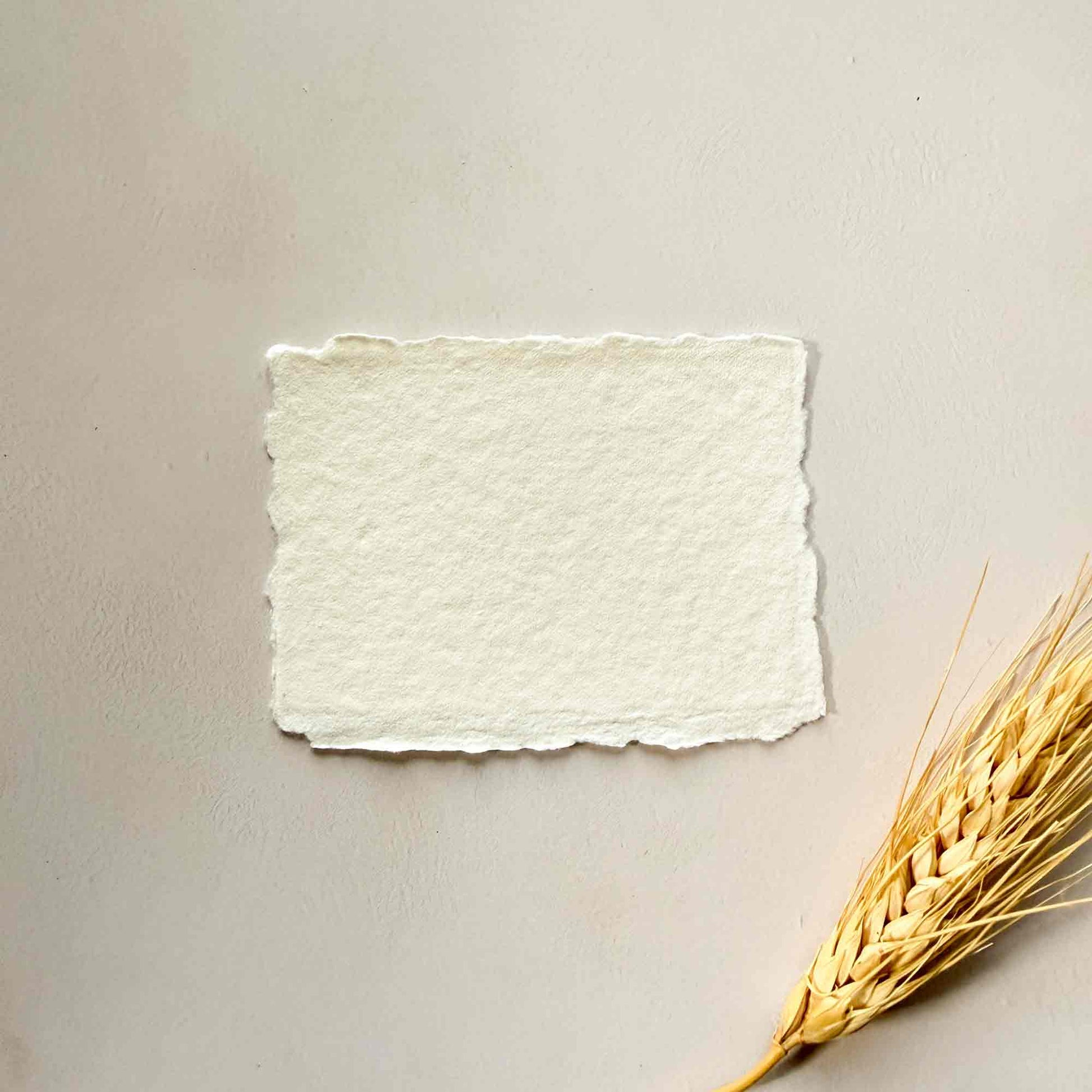 handmade paper place card in ivory with deckled edges