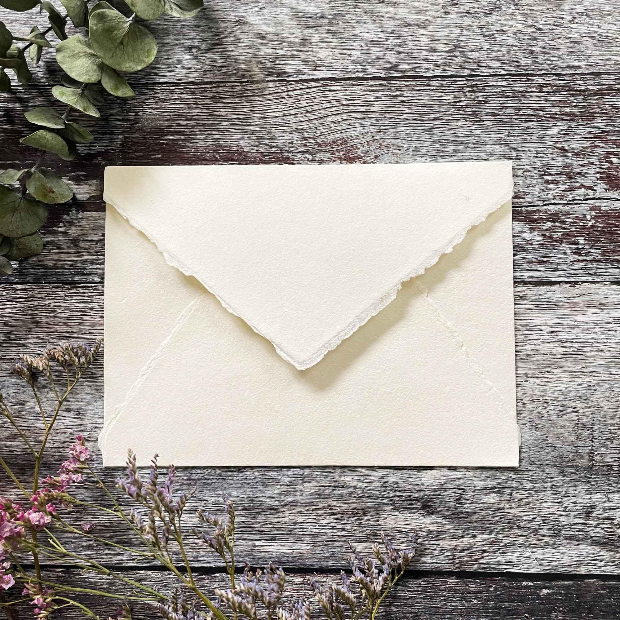 Paper Envolves View full details