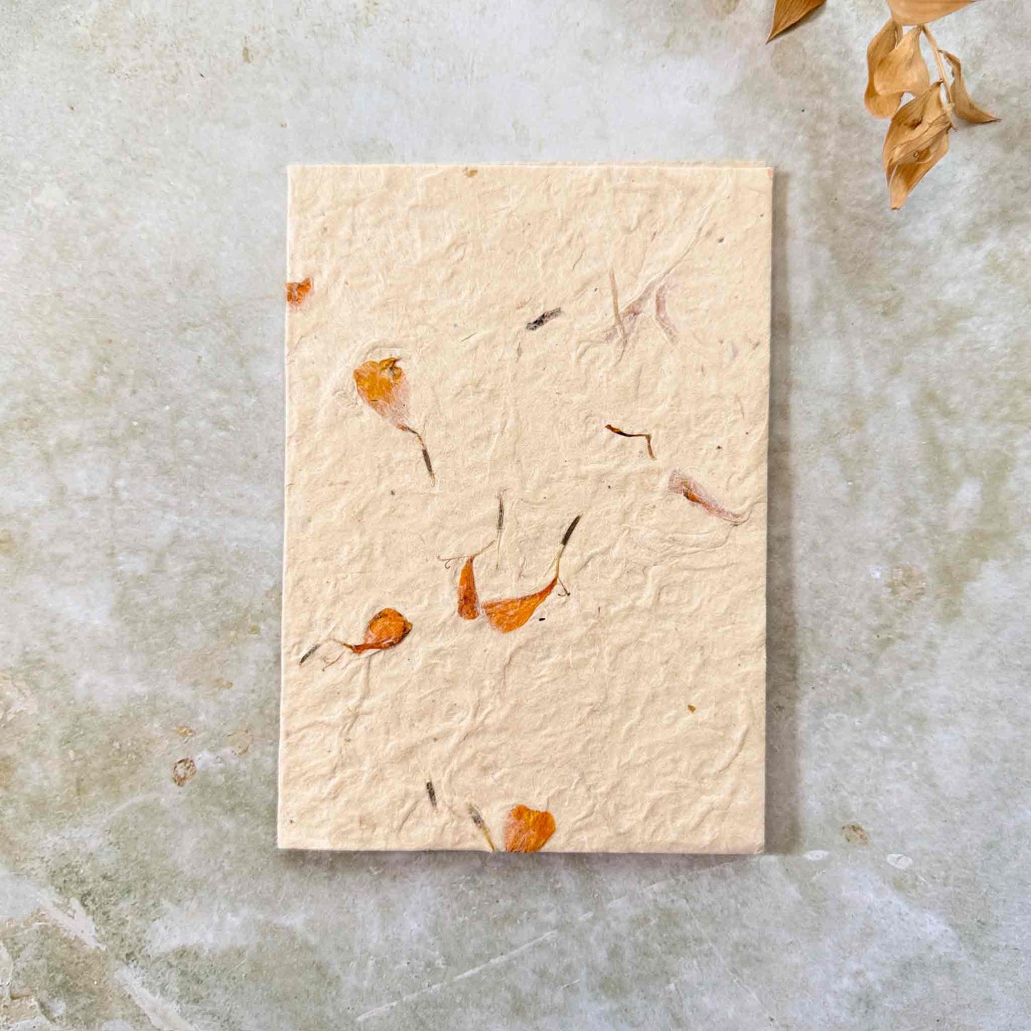 Close-up of blank handmade lokta paper card, showing natural texture and scattered pressed orange marigold petals. Sustainable, tree-free plant fibre stationery.