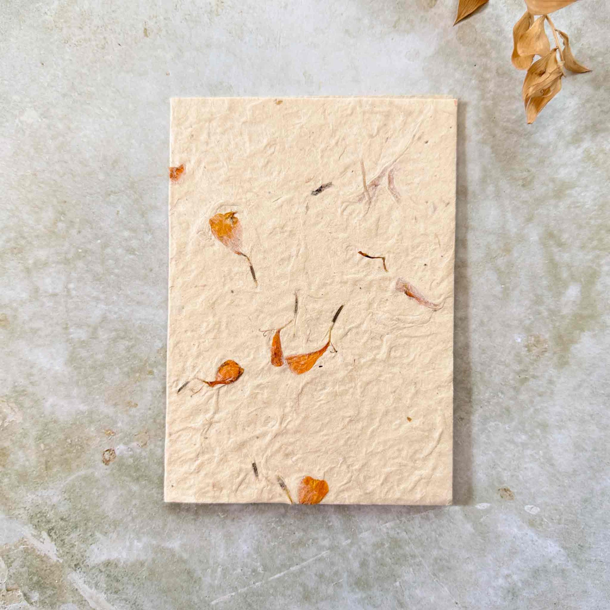 Close-up of blank handmade lokta paper card, showing natural texture and scattered pressed orange marigold petals. Sustainable, tree-free plant fibre stationery.