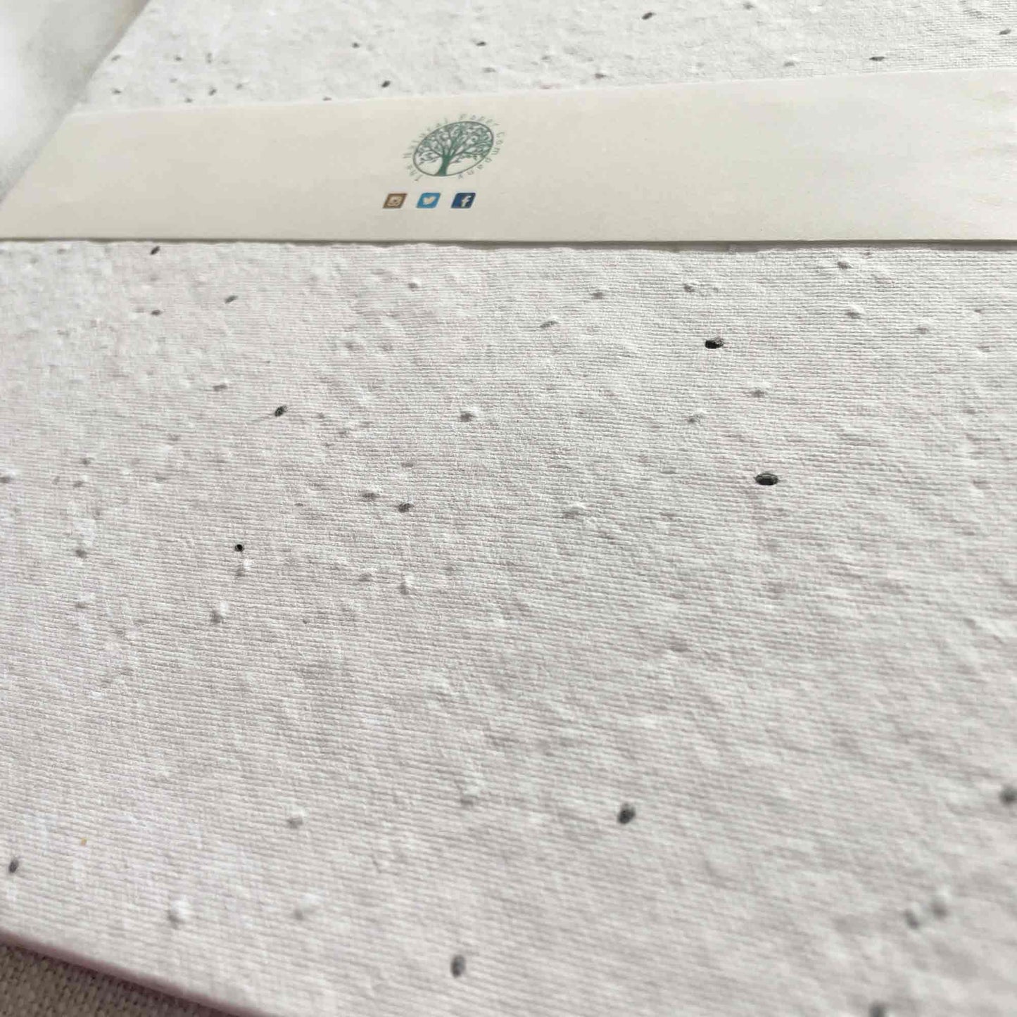 Handmade paper with seeds.  Plantable paper and envelopes by The Natural Paper Company