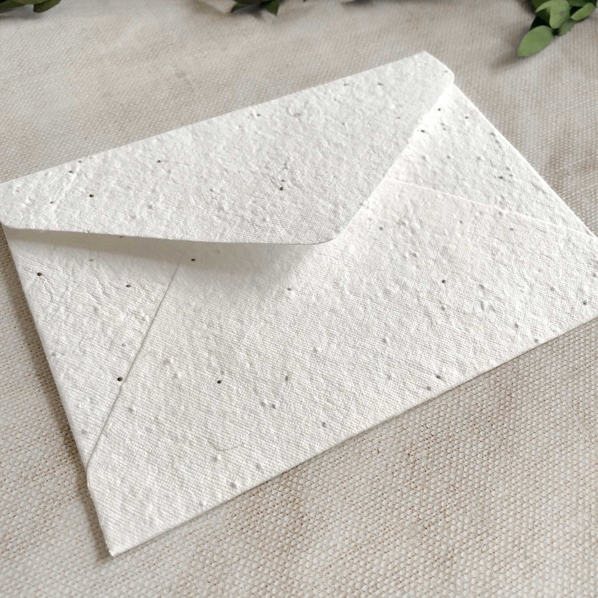 Basil seed envelopes.  Plantable envelopes containing basil seeds.  Invitation envelopes you can plant.  By The Natural Paper Company