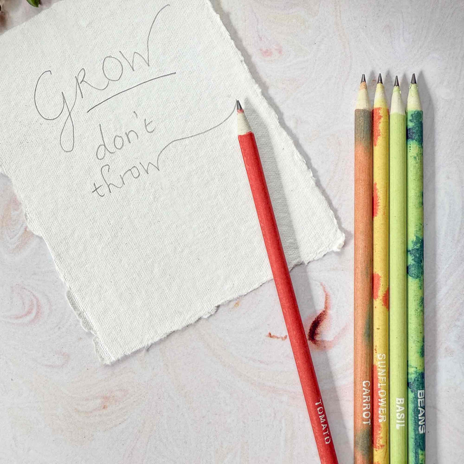 set of plantable pencils in a cardboard tube