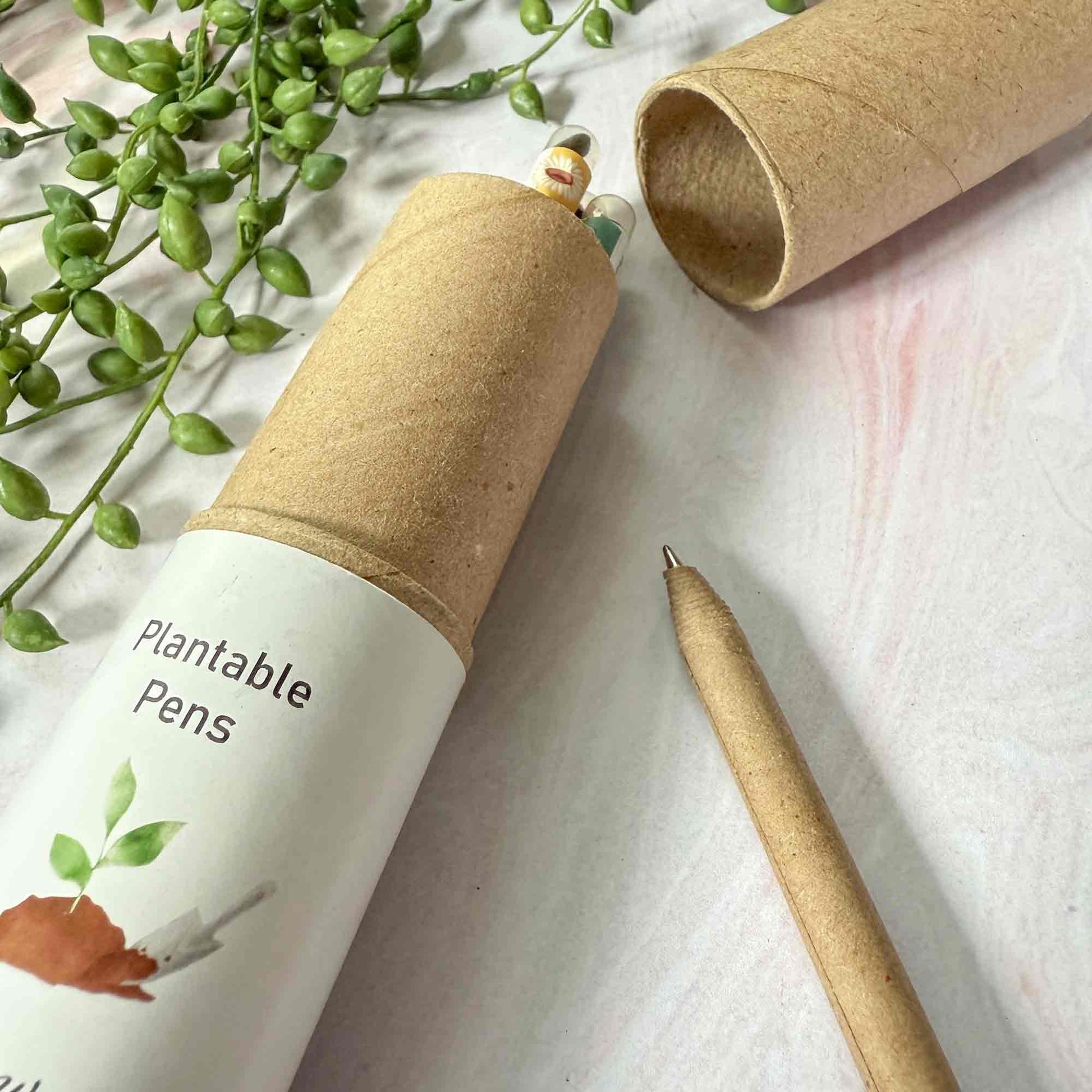 Set of eco friendly pens in recycled packaging.  