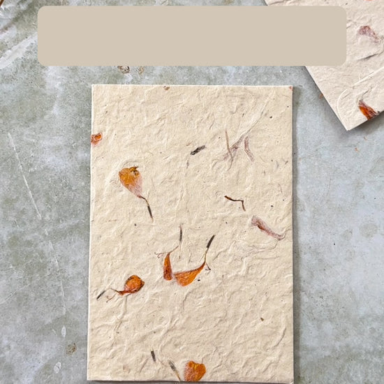 video showing the special qualities of handmade lokta paper with dried flowers.