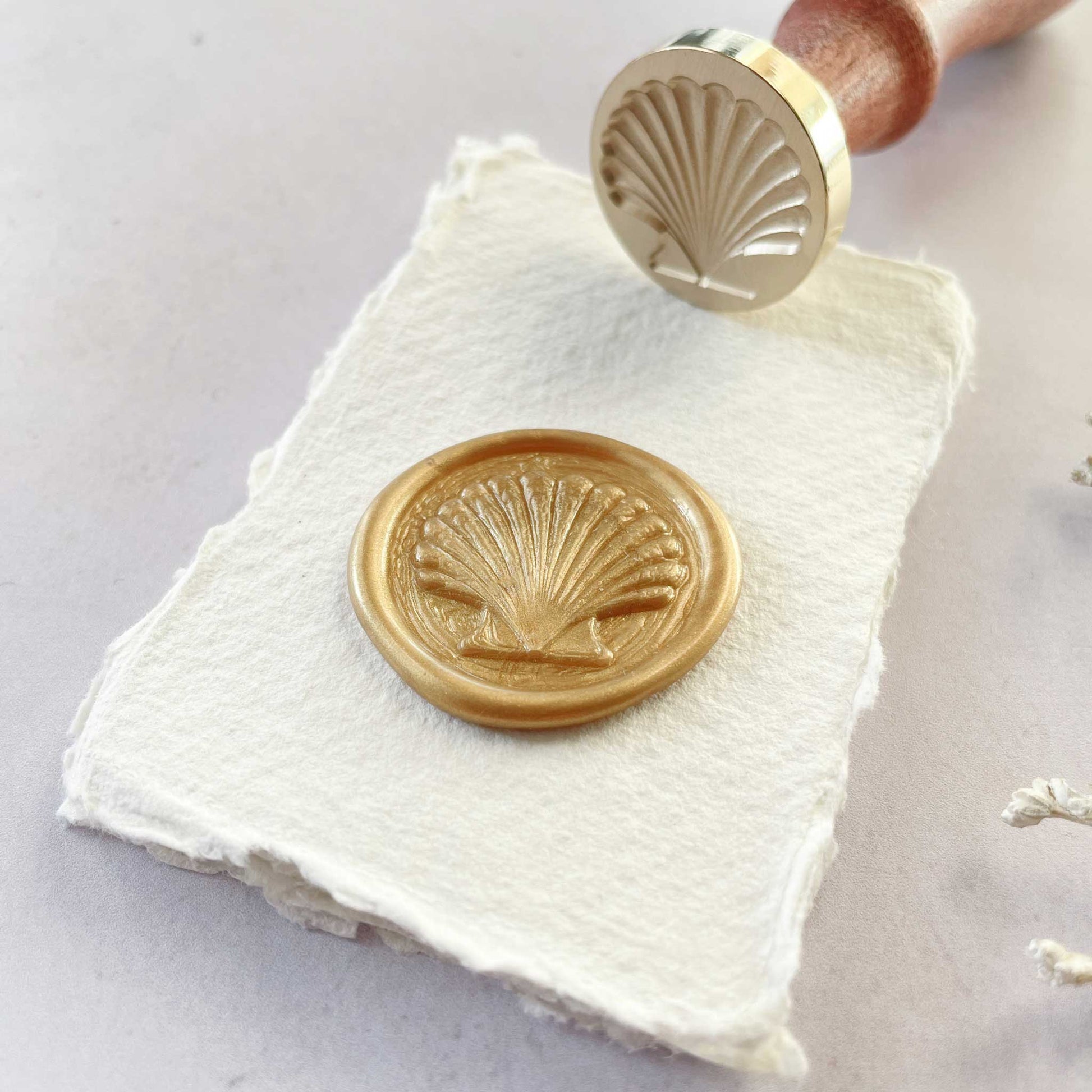 Seashells wax seal stamp to use with eco friendly sealing wax.  Make coastal design wax seals.  By The Natural Paper Company