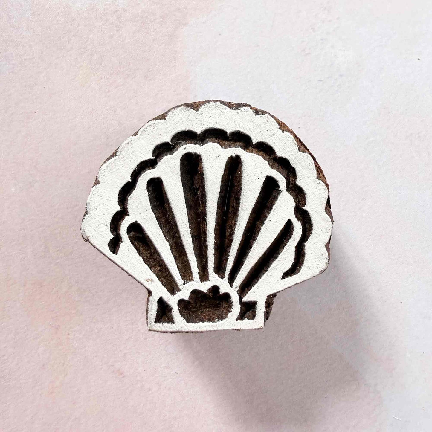 Indian wood block stamp — Shell scallop seashell face-on view on soft pale background, symmetrical curved ribs and delicate rim, hand-carved wooden stamp, classic traditional printing block coastal motif