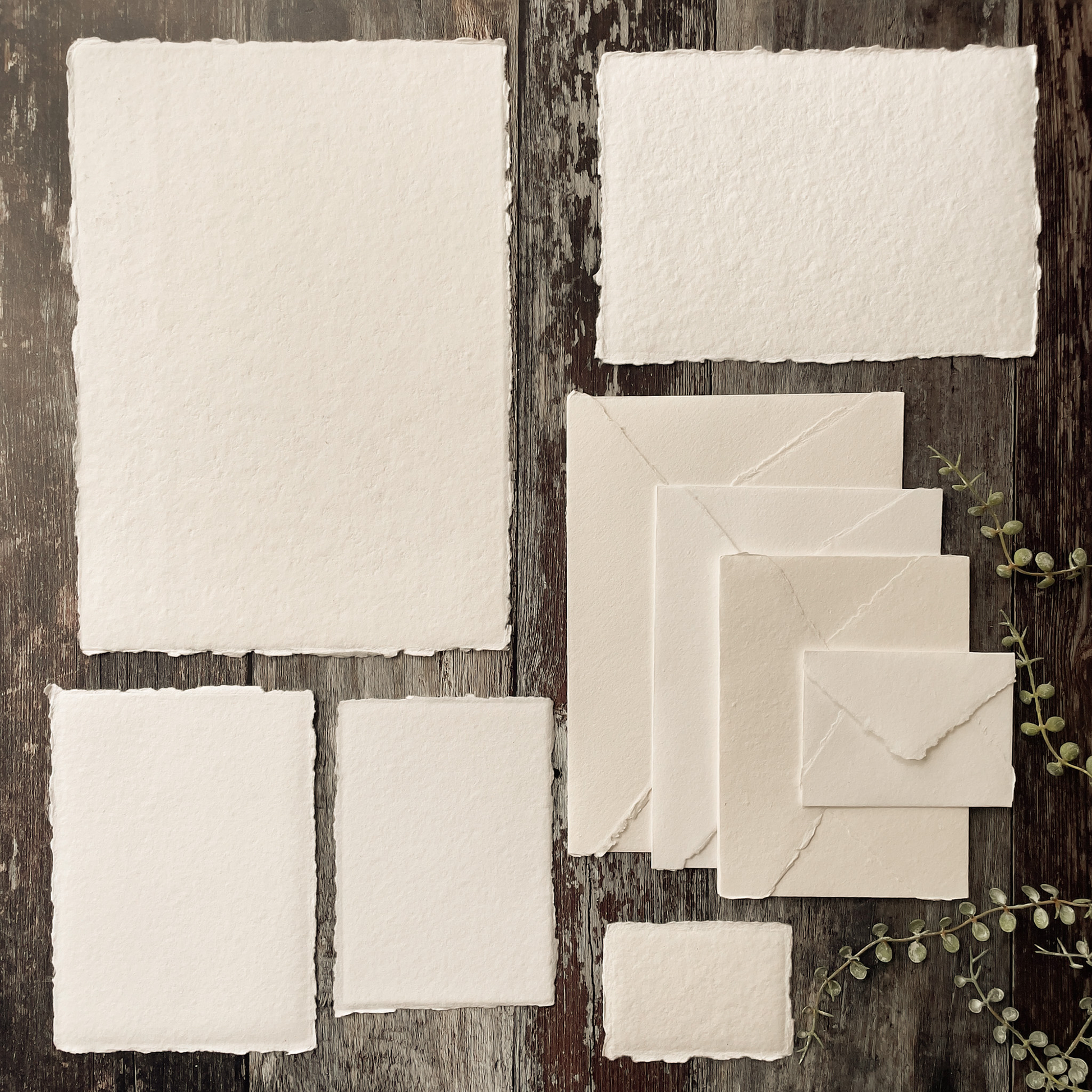 White, Place card, 300 gsm – Deckle edge paper – Indian Cotton Paper Co.