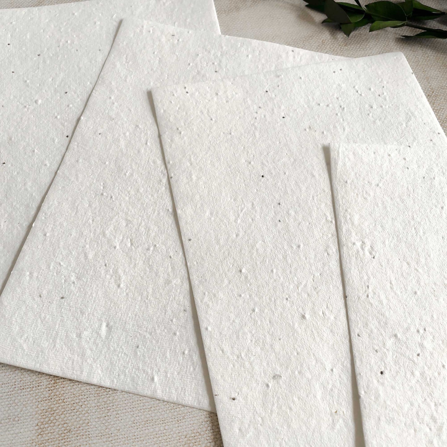 Basil seed handmade paper you can plant.  Plantable white handmade paper for invitations and stationery.  Seeded paper By The Natural Paper Company