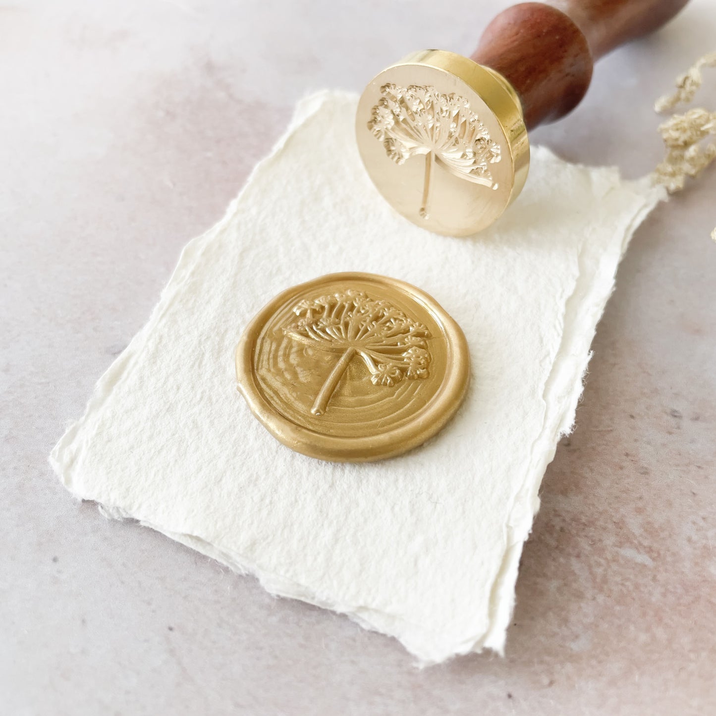 Sealing wax stamp with a wild fennel flower design.  Nature inspired wax seal stamp By The Natural Paper Company